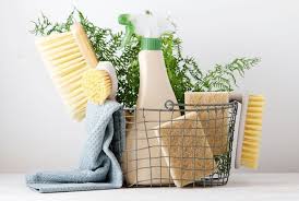 NETTOYAGE PROFESSIONNEL